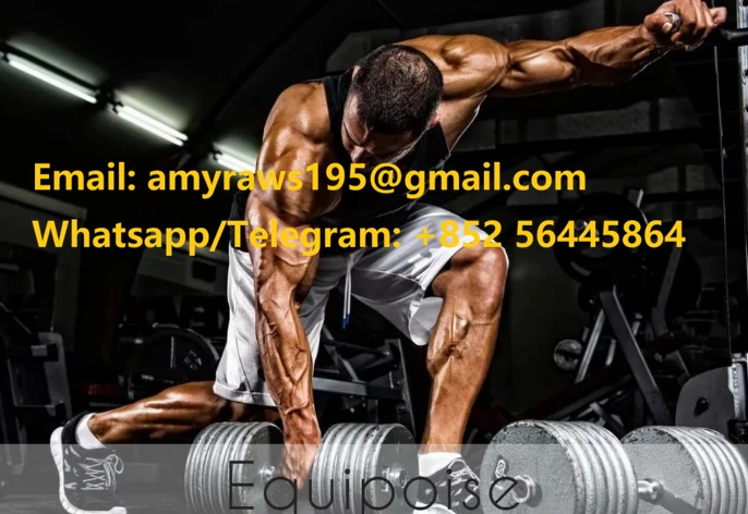 product-686-472 product-686-472